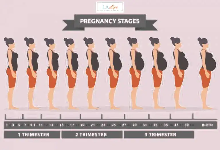First Trimester (Weeks 1–12): Early Changes You Might Not Notice Deanshanger